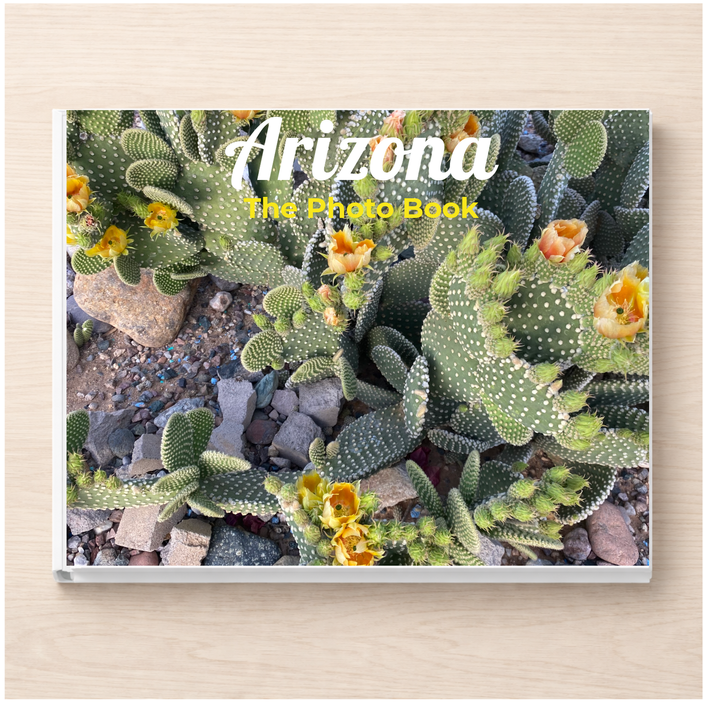 Arizona: The Photo Book