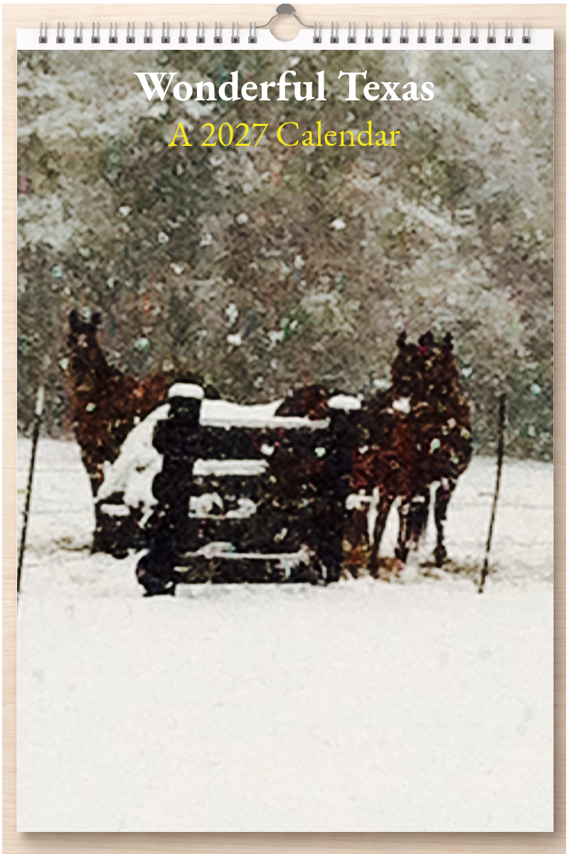 Wonderful Texas: A 2027 Calendar