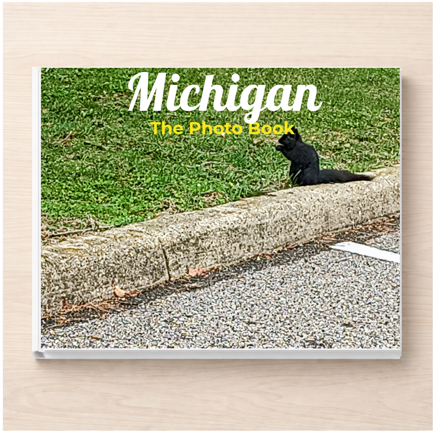Michigan: The Photo Book