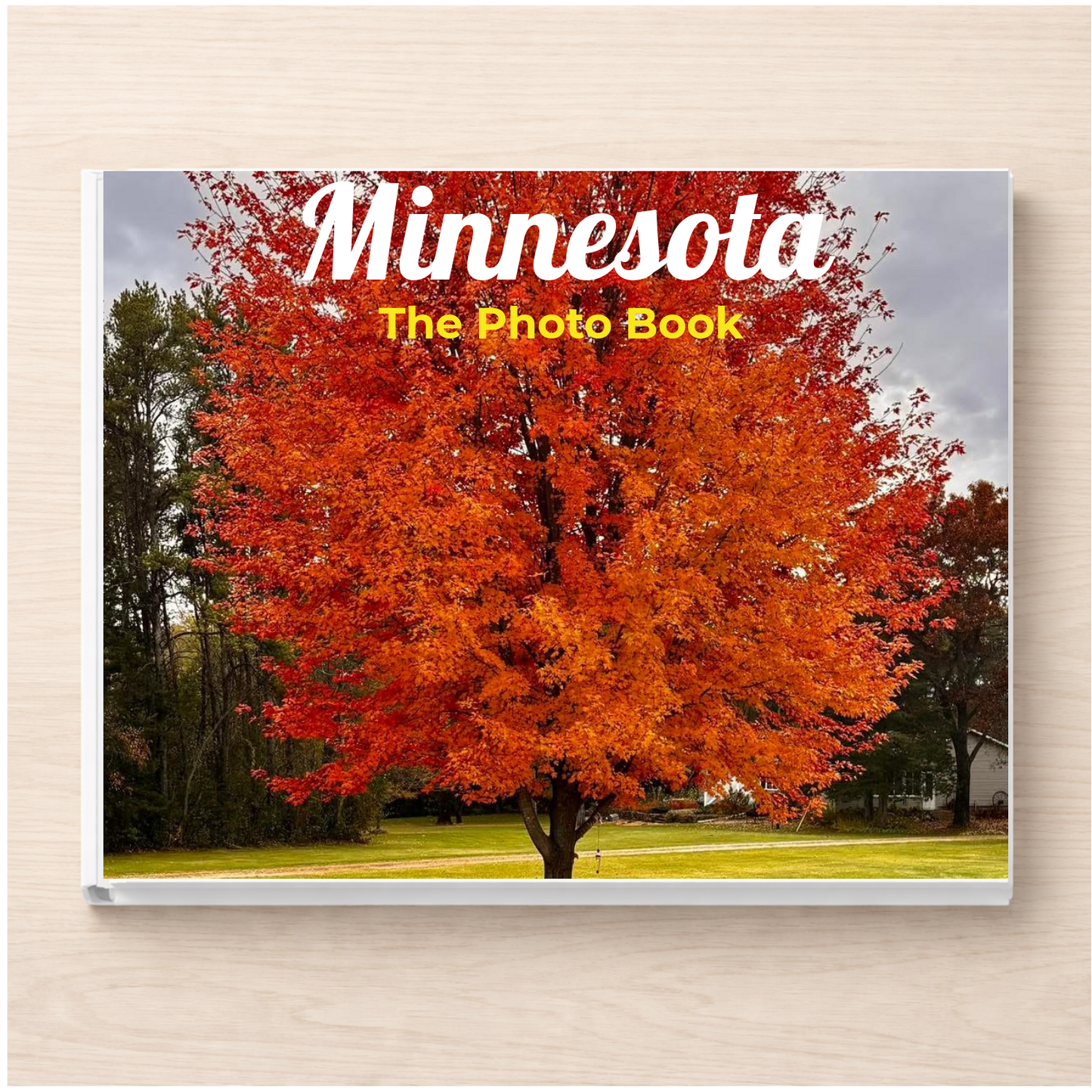 Minnesota: The Photo Book