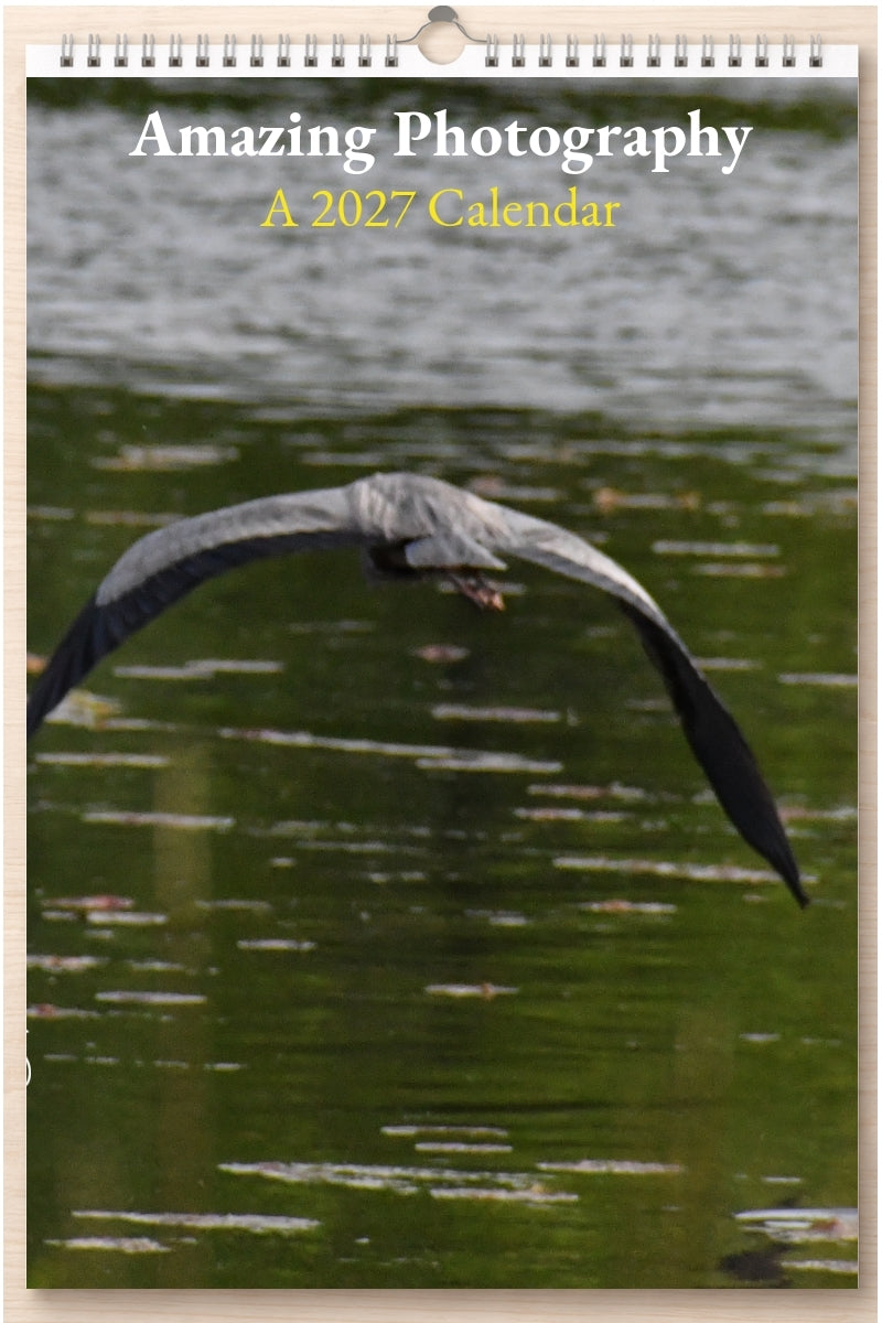 Amazing Photography: A 2027 Calendar