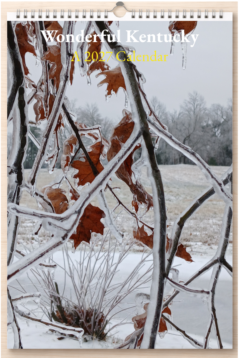 Wonderful Kentucky: A 2027 Calendar