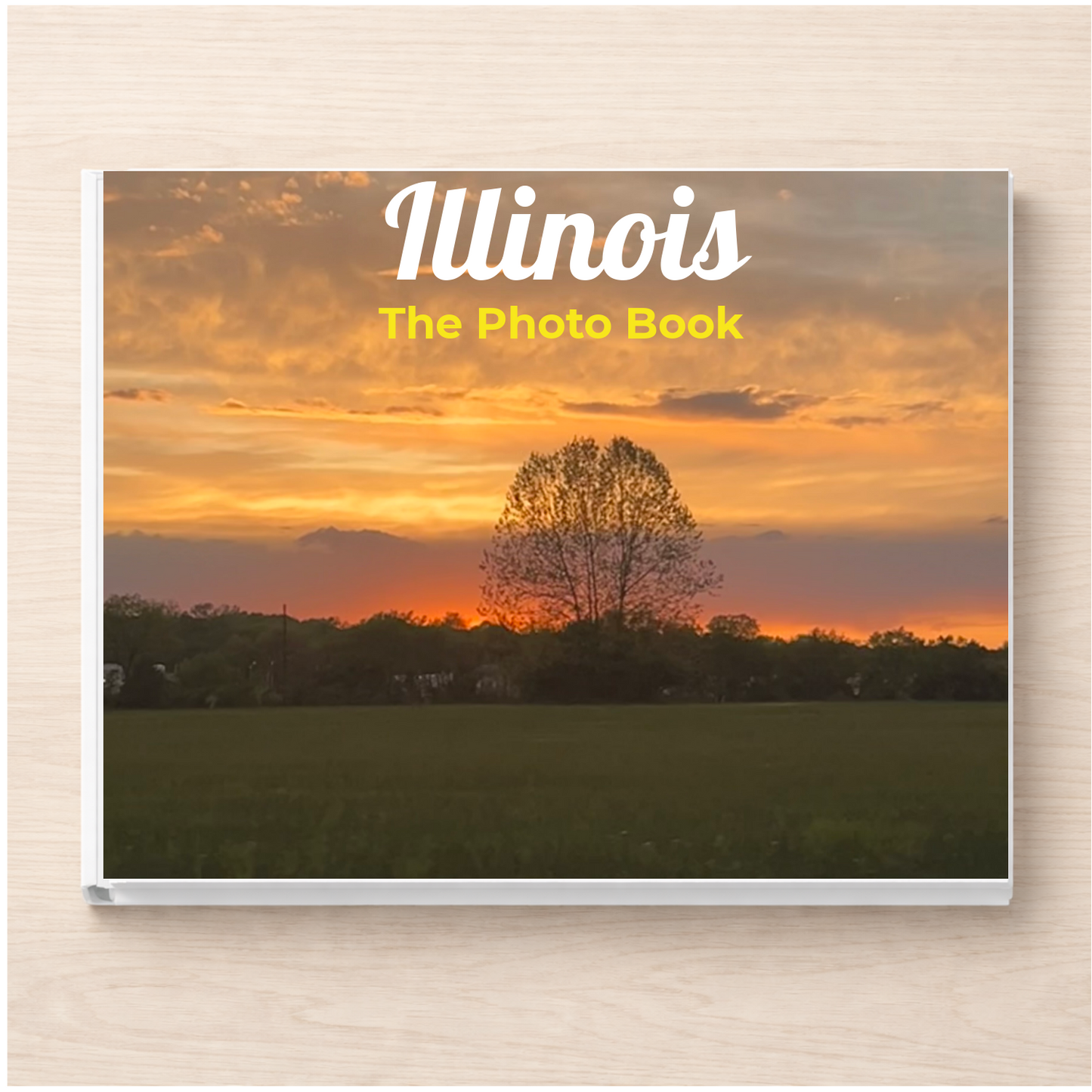 Illinois: The Photo Book