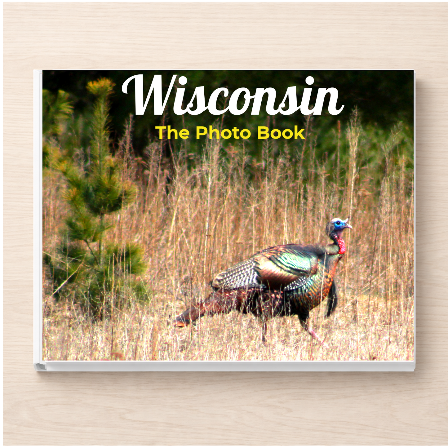 Wisconsin: The Photo Book