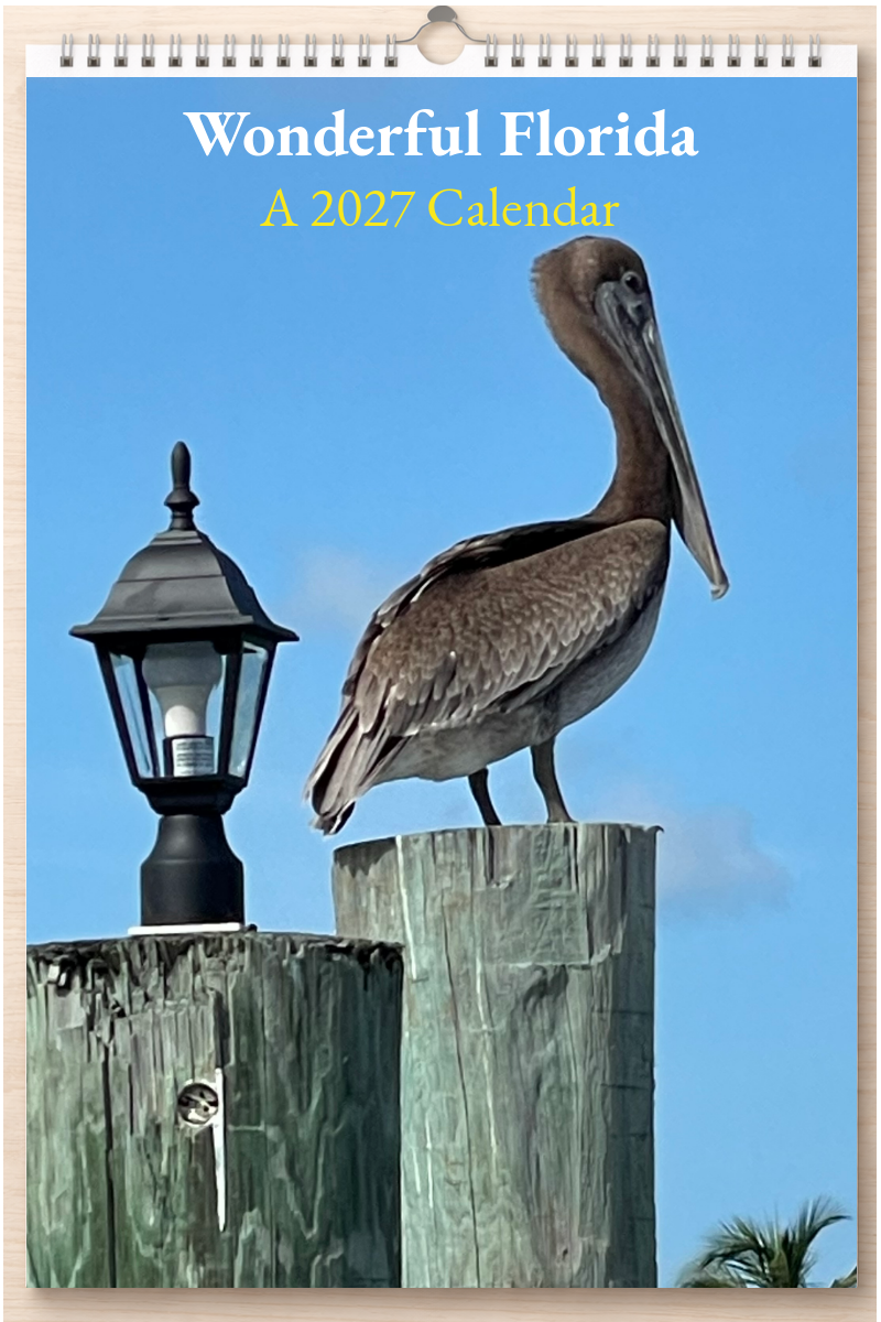 Wonderful Florida: A 2027 Calendar