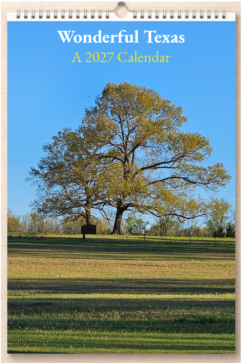 Wonderful Texas: A 2027 Calendar