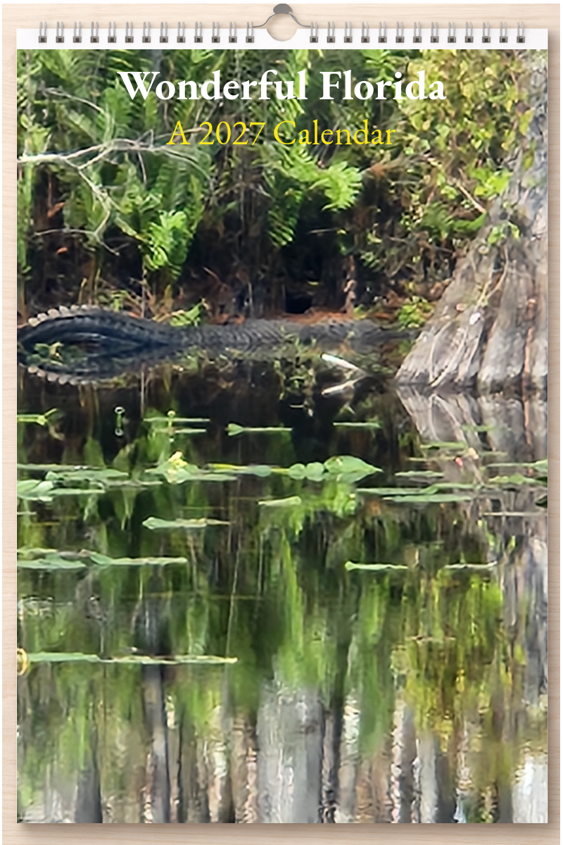 Wonderful Florida: A 2027 Calendar