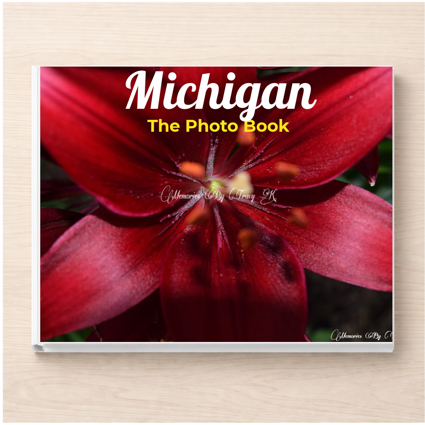 Michigan: The Photo Book