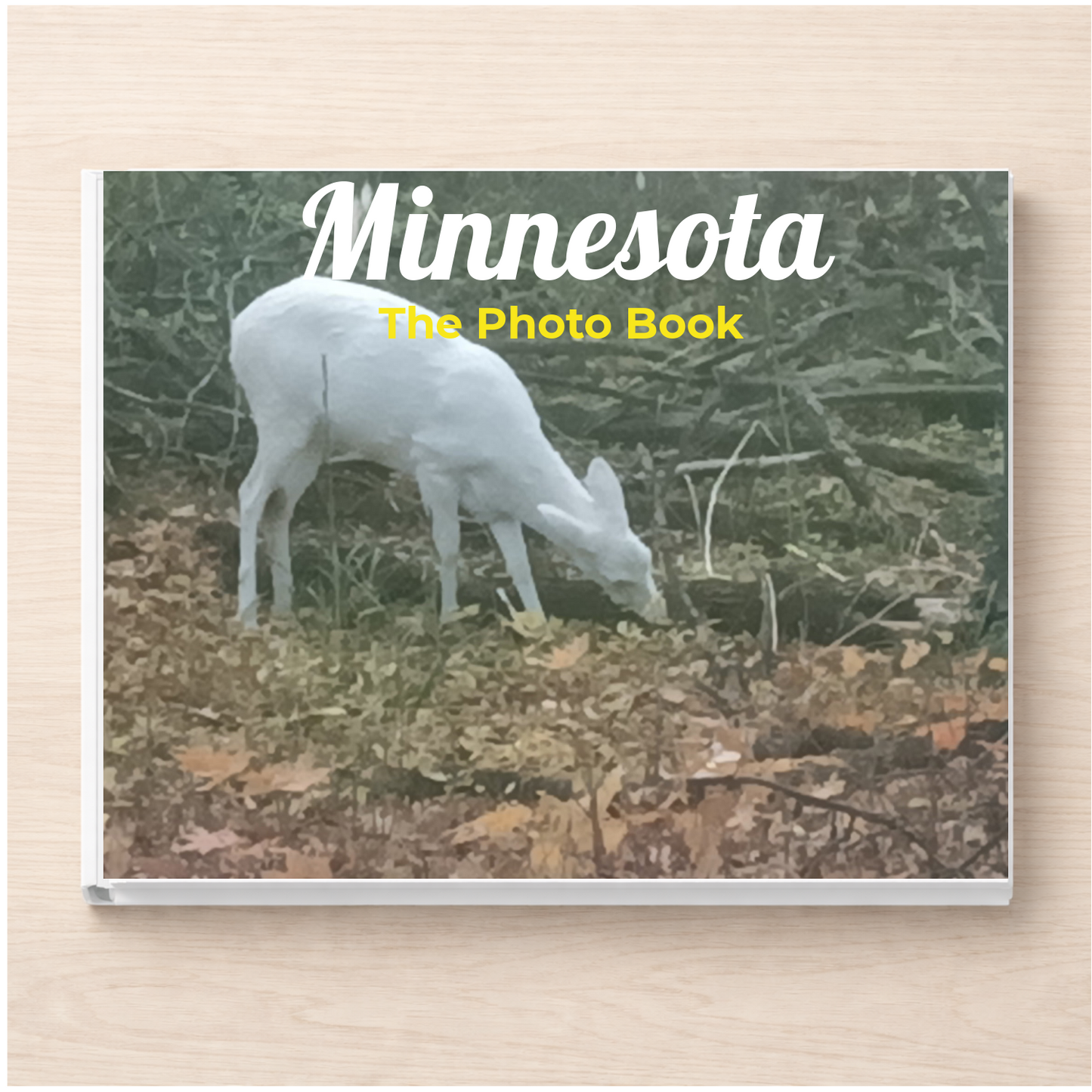 Minnesota: The Photo Book