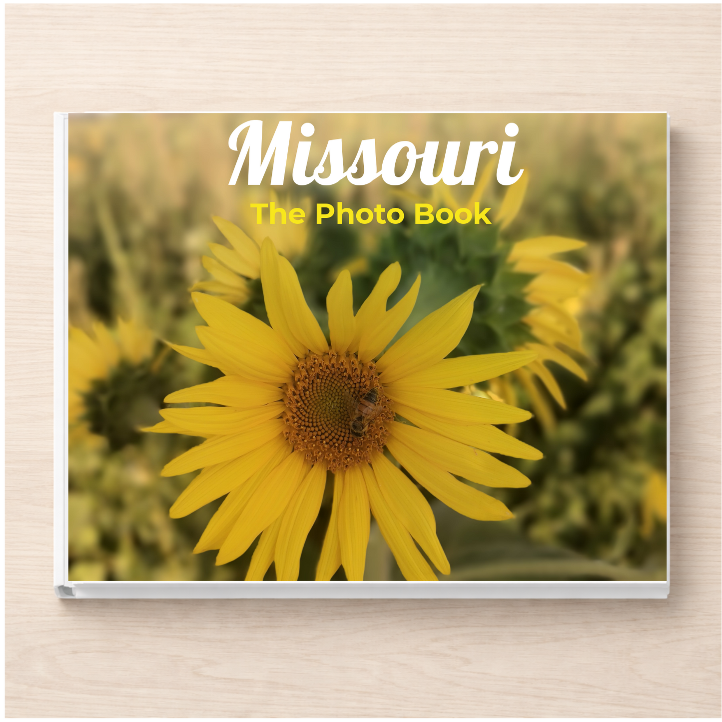 Missouri: The Photo Book