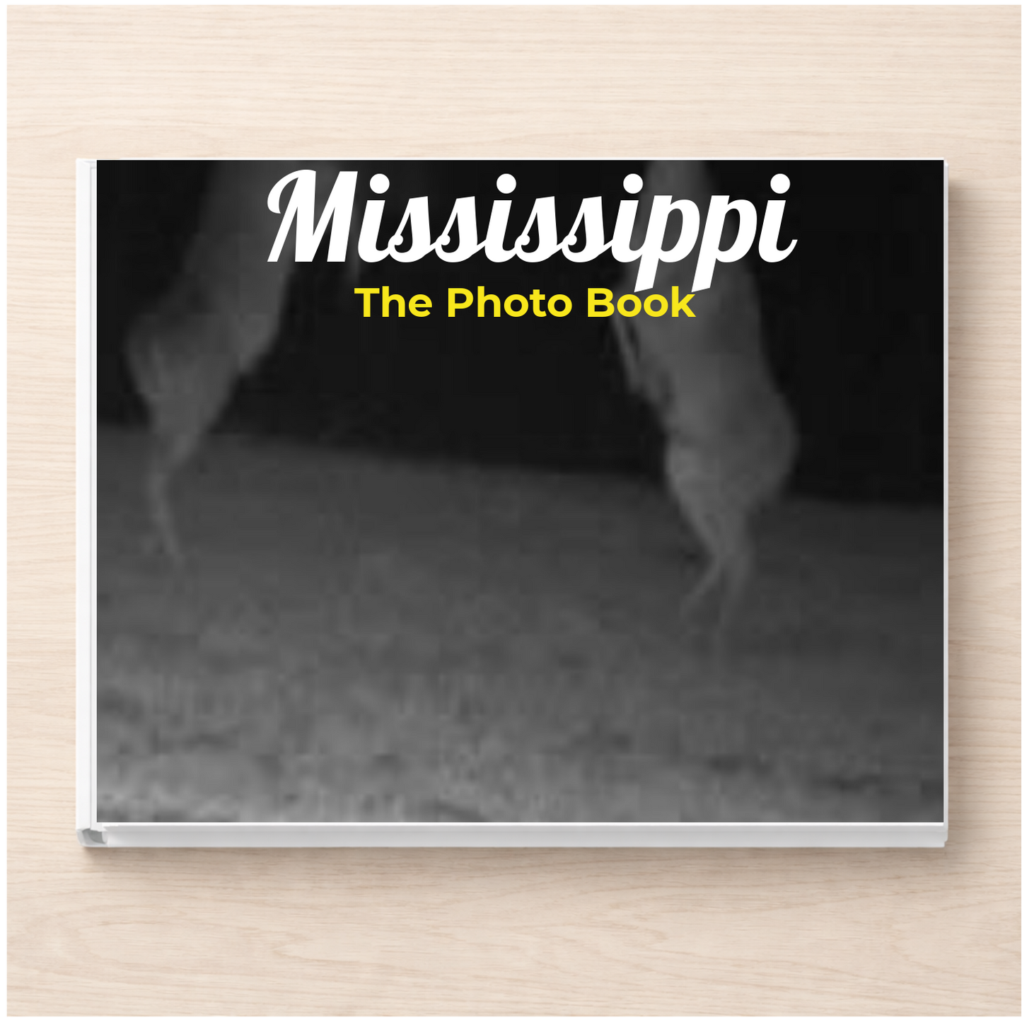 Mississippi: The Photo Book