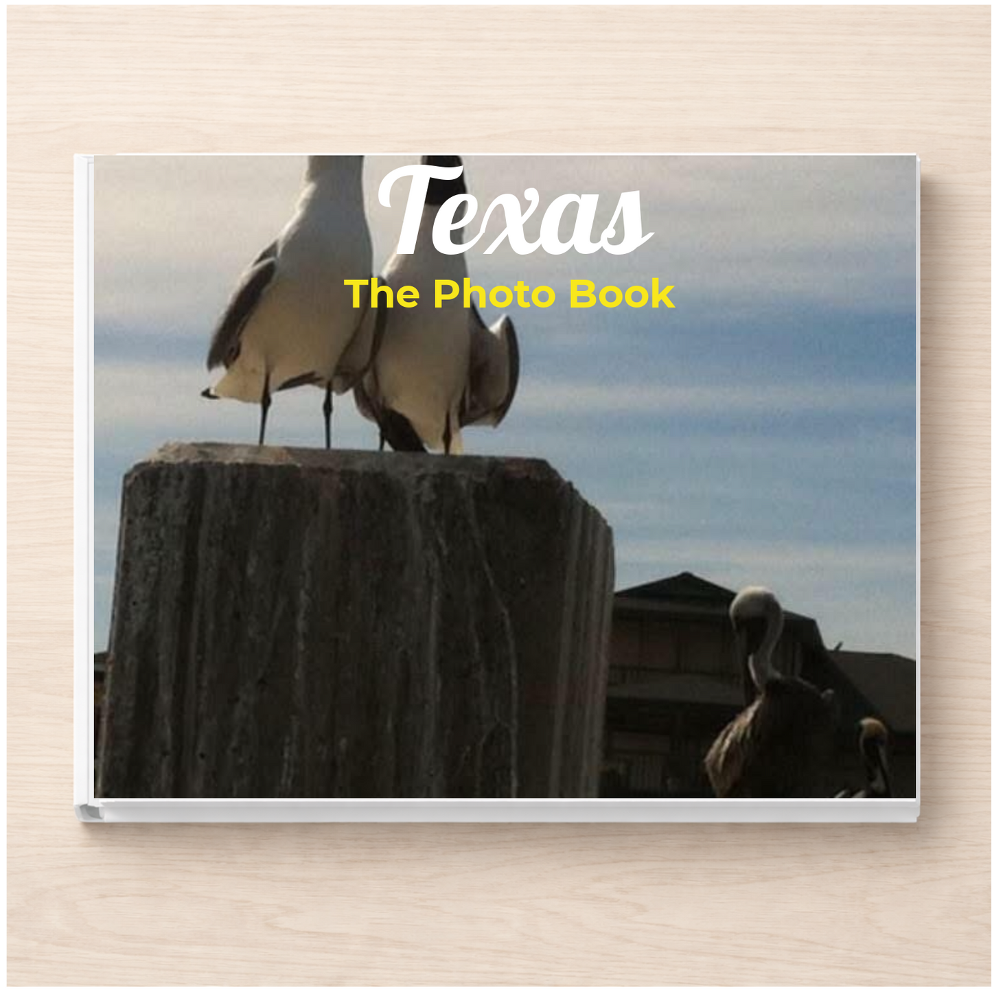 Texas: The Photo Book