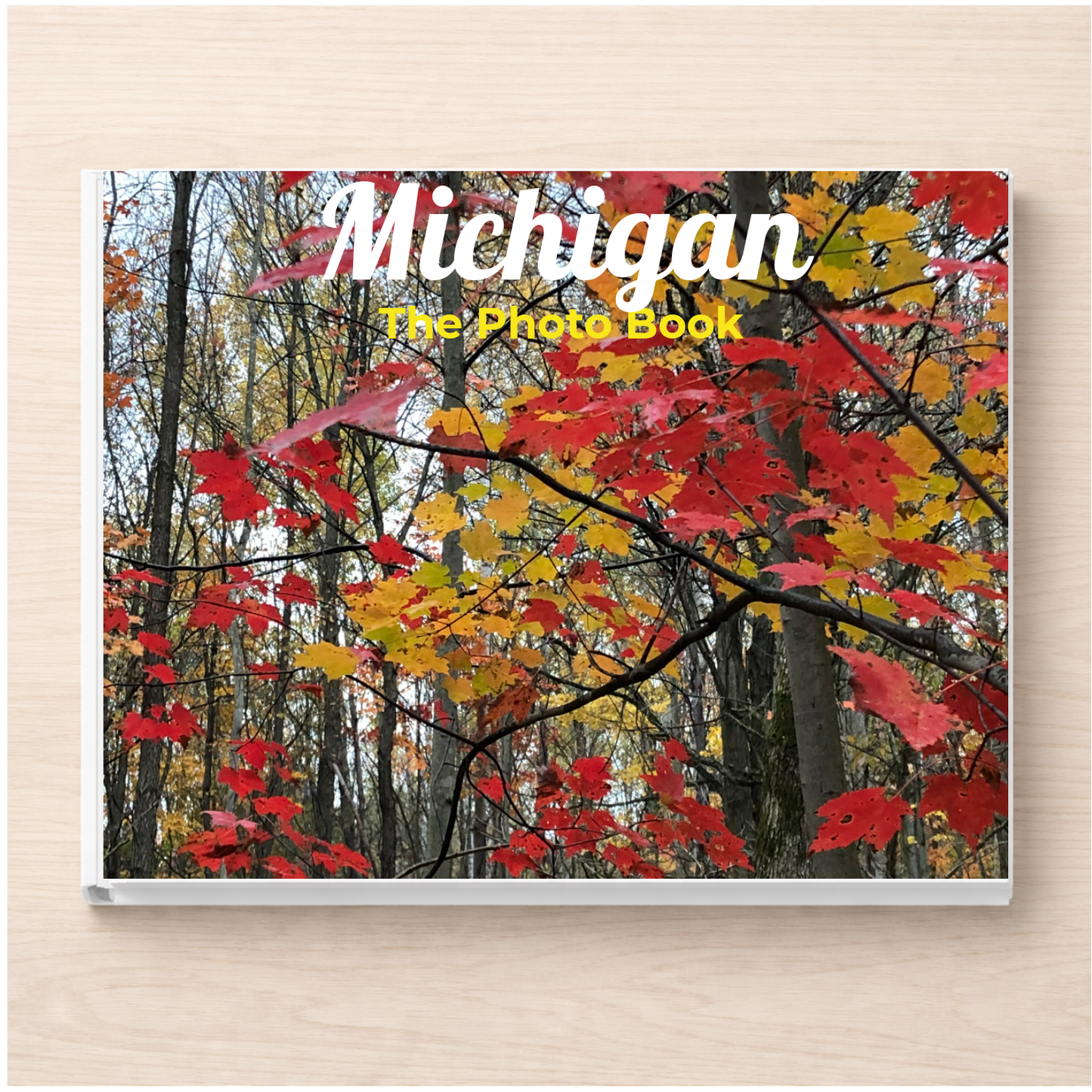 Michigan: The Photo Book