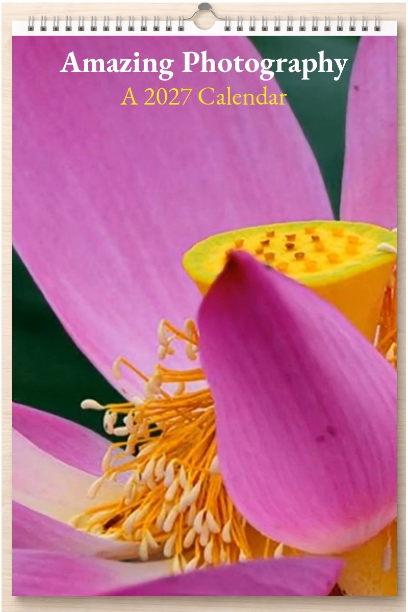 Amazing Photography: A 2027 Calendar