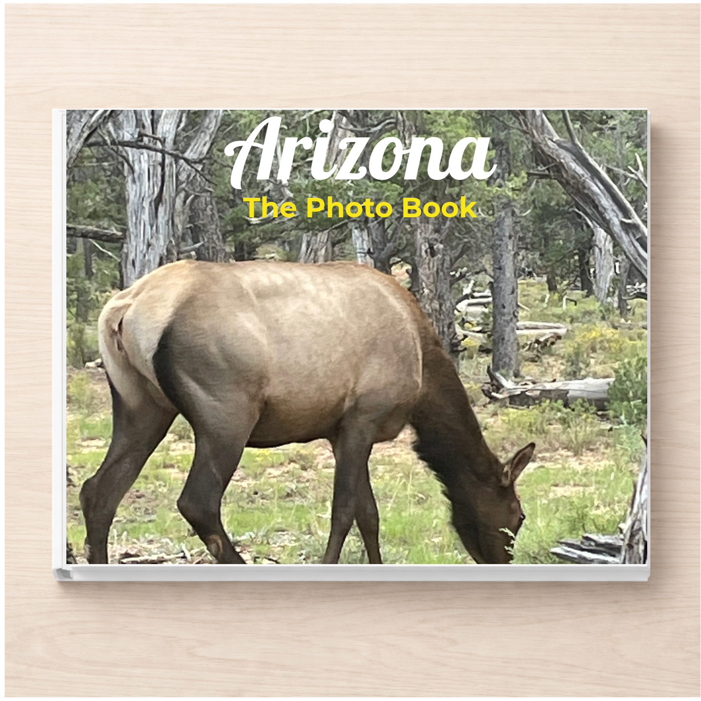 Arizona: The Photo Book