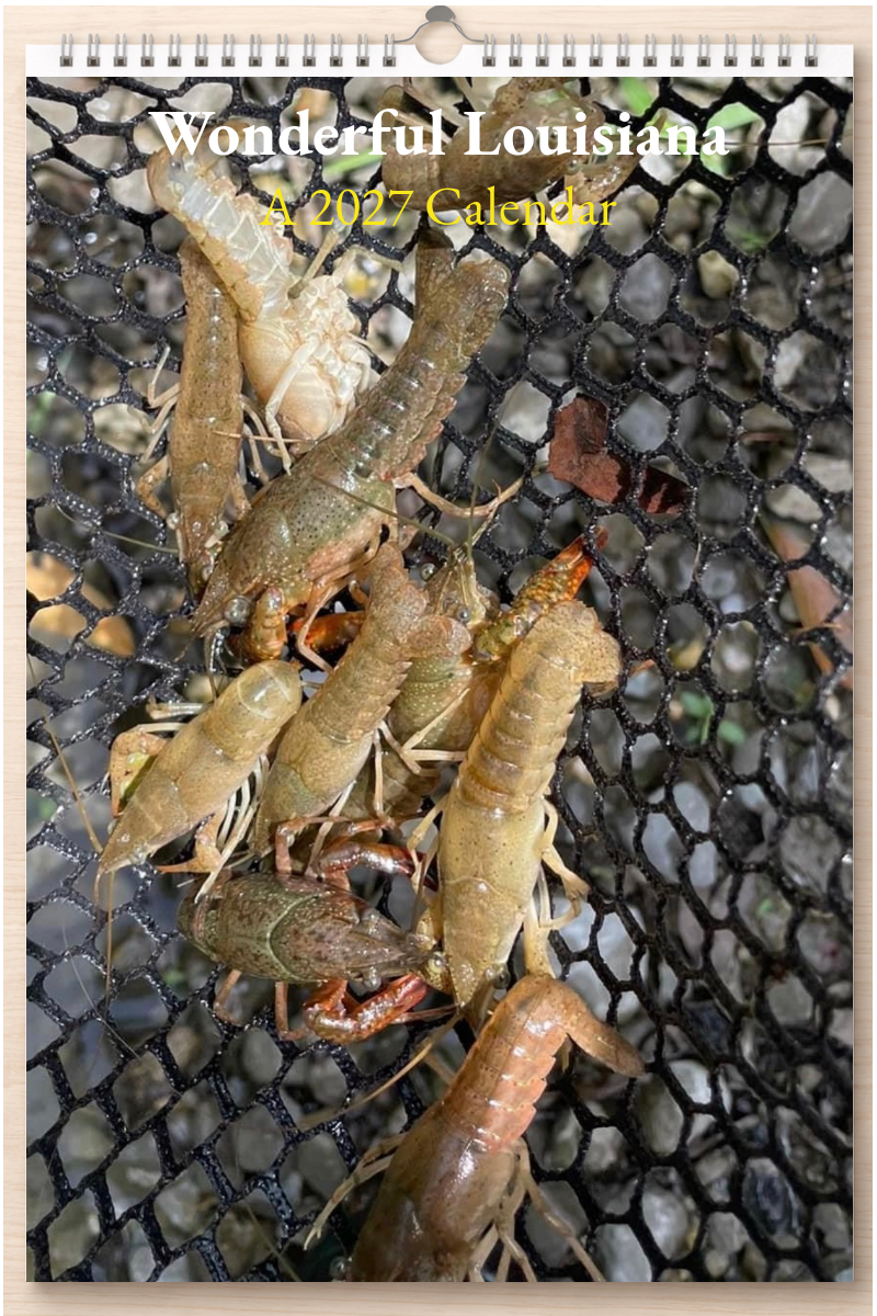 Wonderful Louisiana: A 2027 Calendar