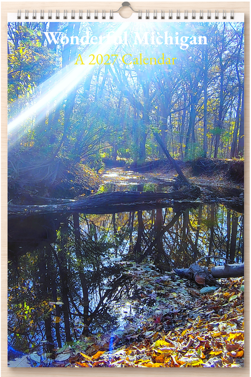 Wonderful Michigan: A 2027 Calendar
