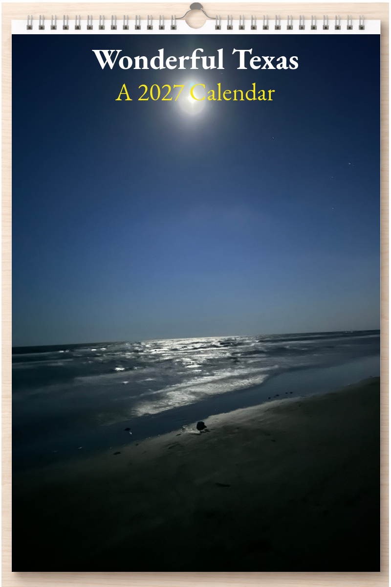 Wonderful Texas: A 2027 Calendar