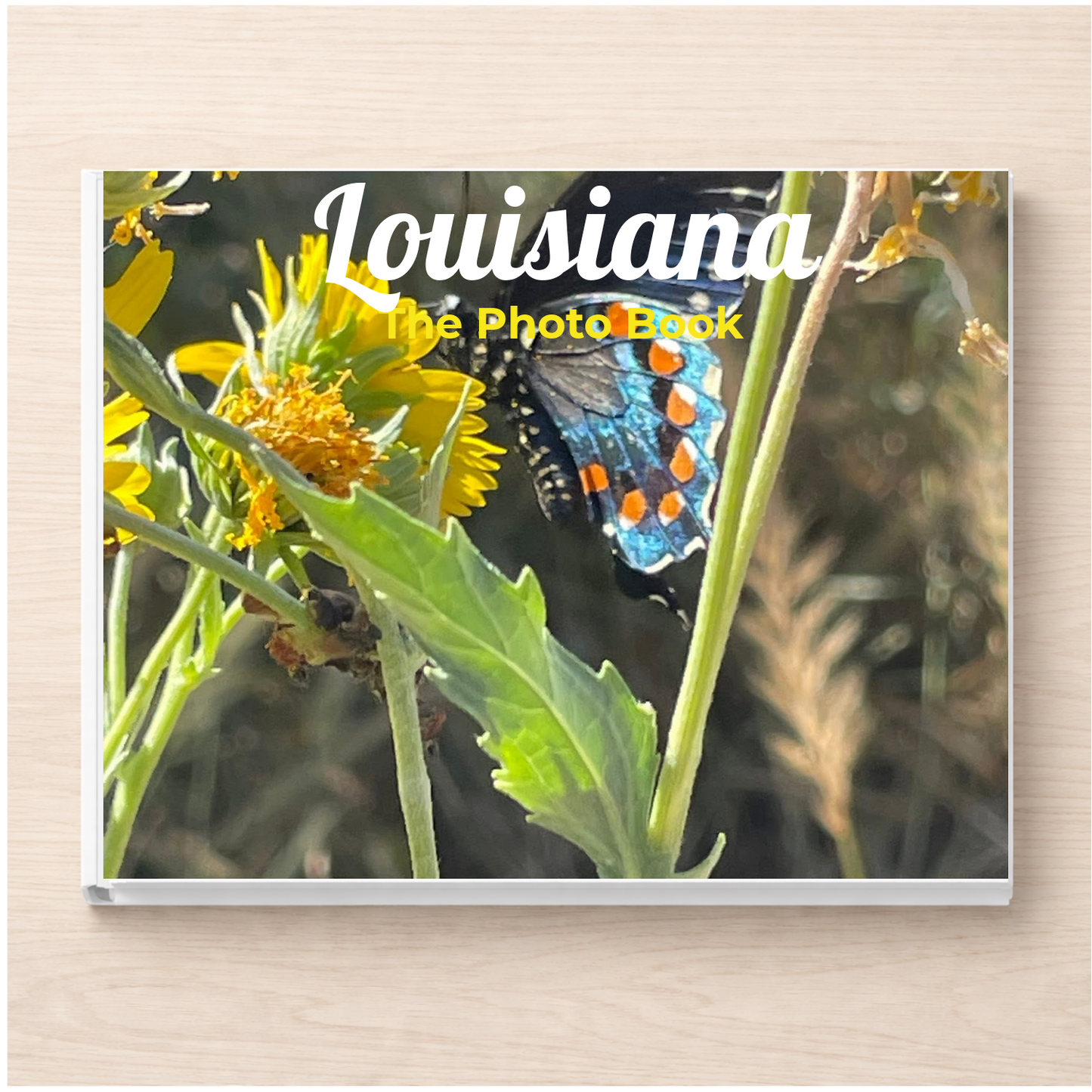 Louisiana: The Photo Book
