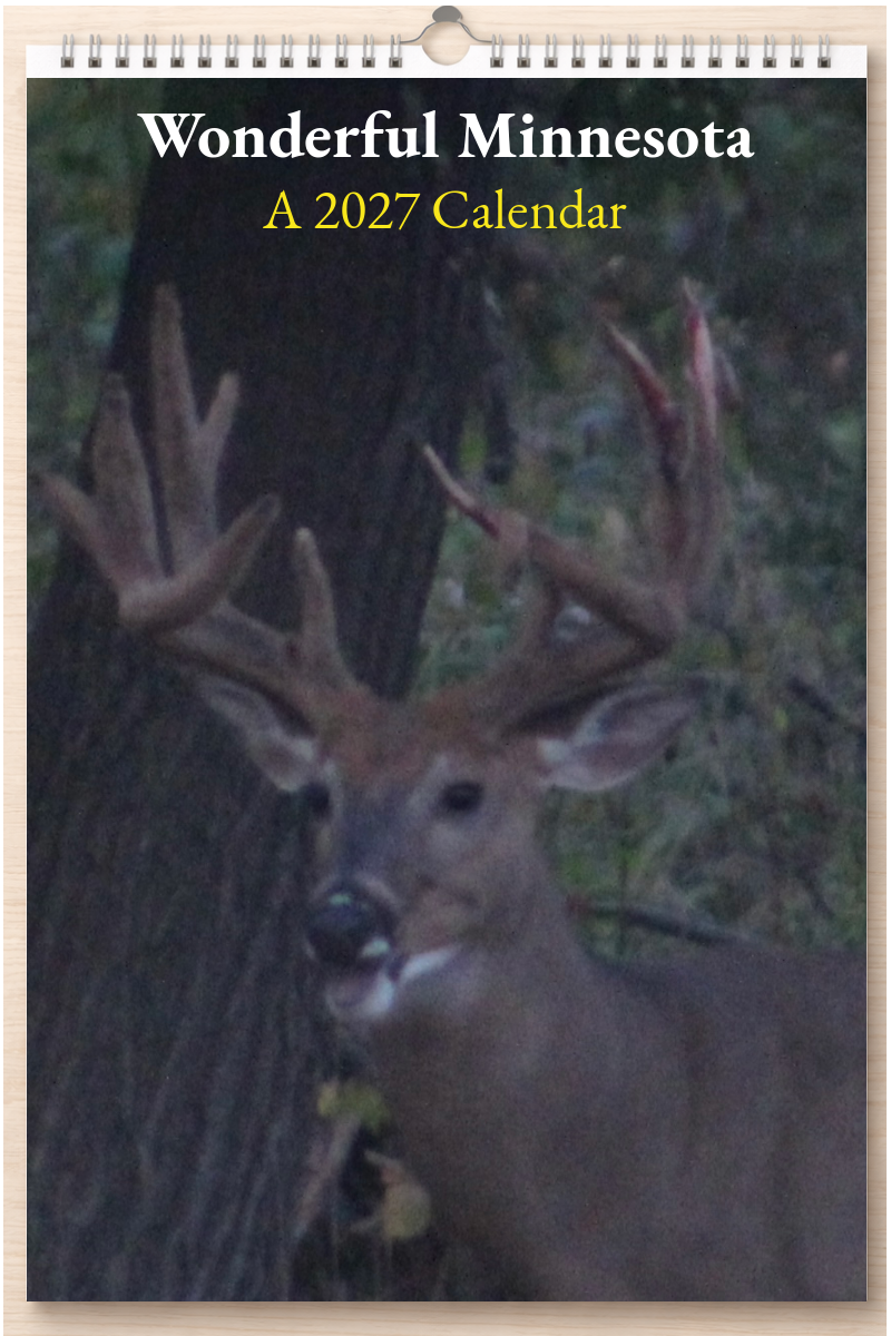Wonderful Minnesota: A 2027 Calendar
