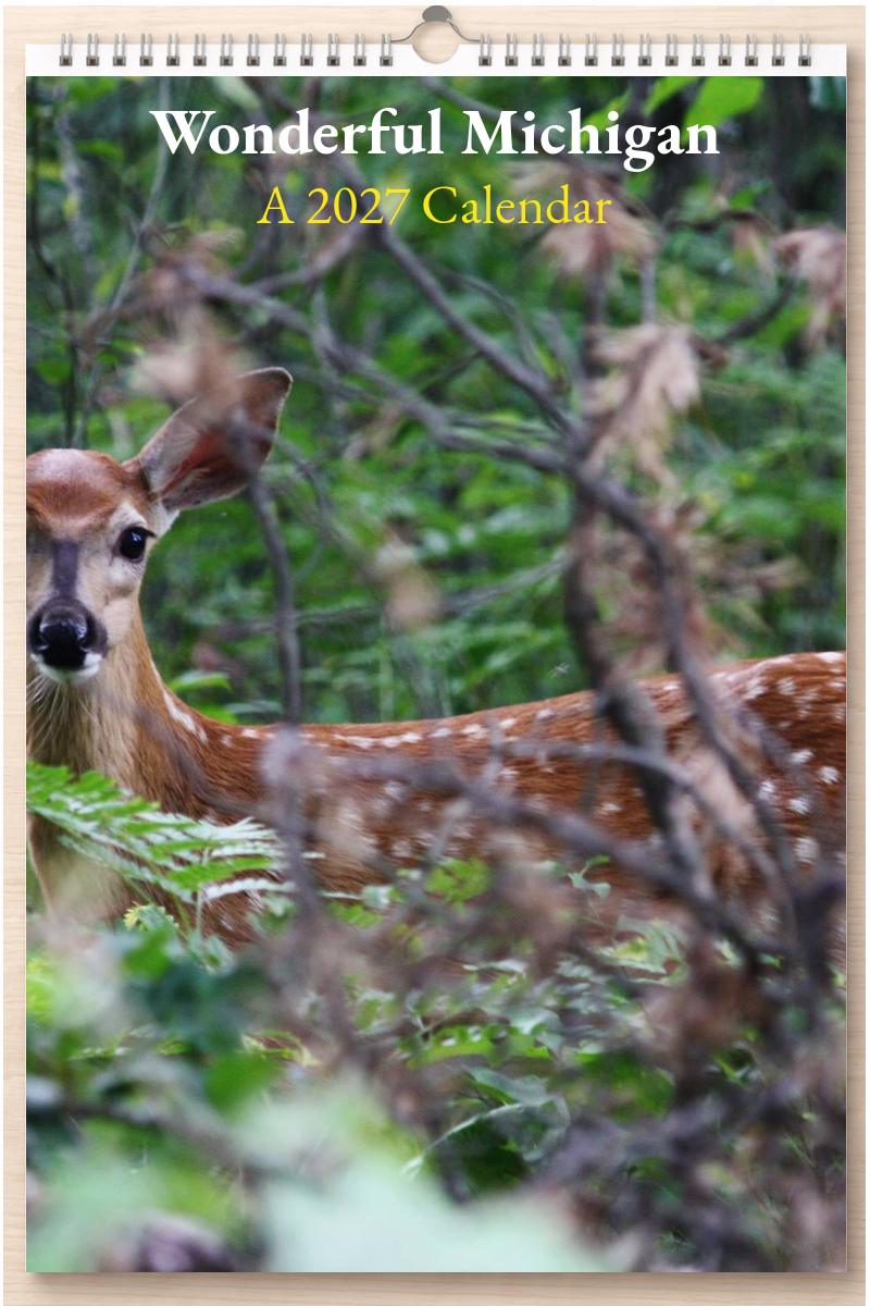 Wonderful Michigan: A 2027 Calendar