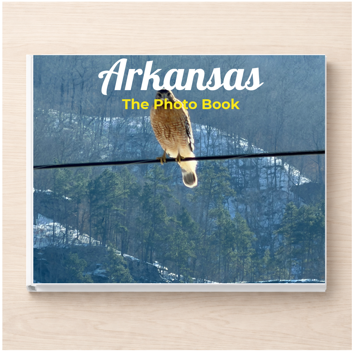 Arkansas: The Photo Book