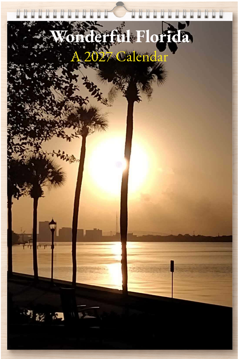 Wonderful Florida: A 2027 Calendar