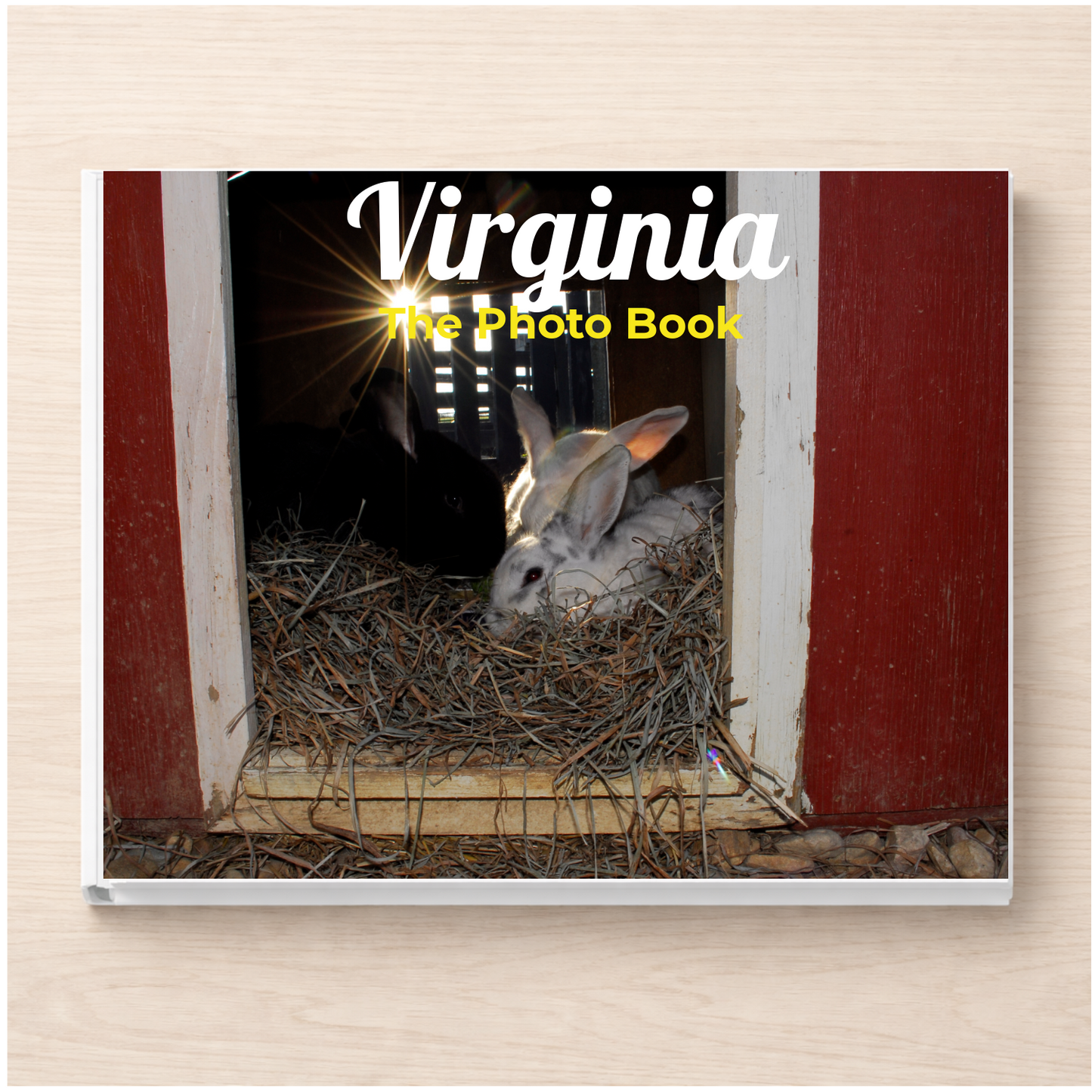 Virginia: The Photo Book