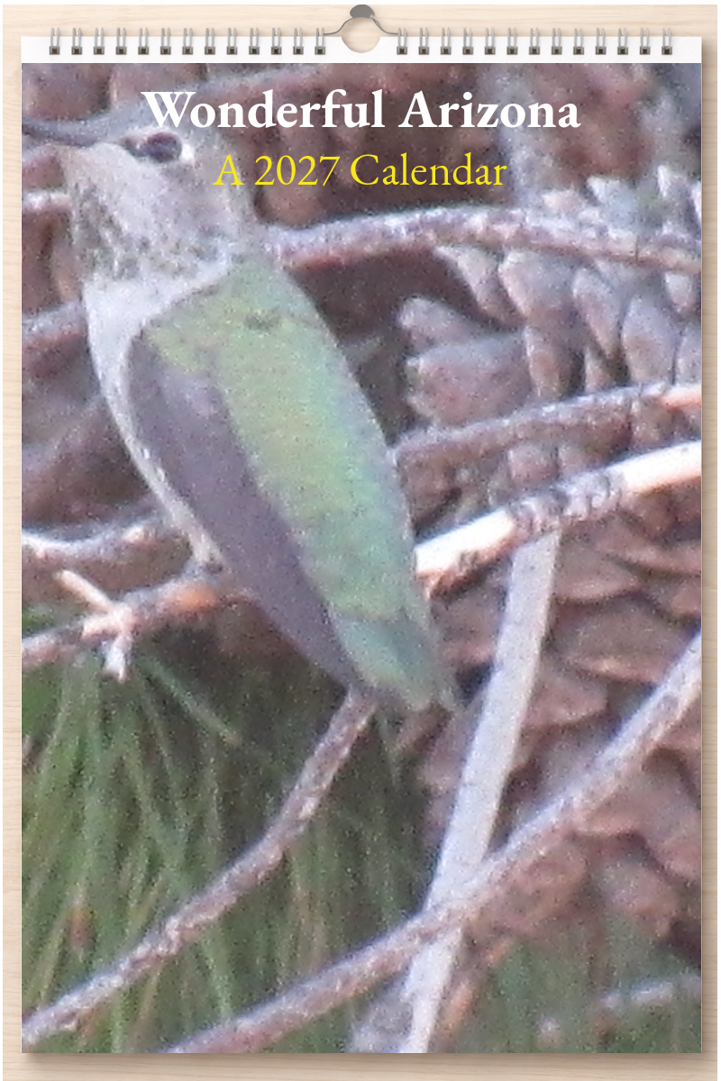 Wonderful Arizona: A 2027 Calendar