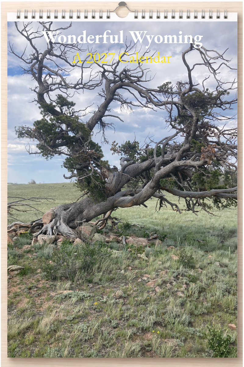 Wonderful Wyoming: A 2027 Calendar