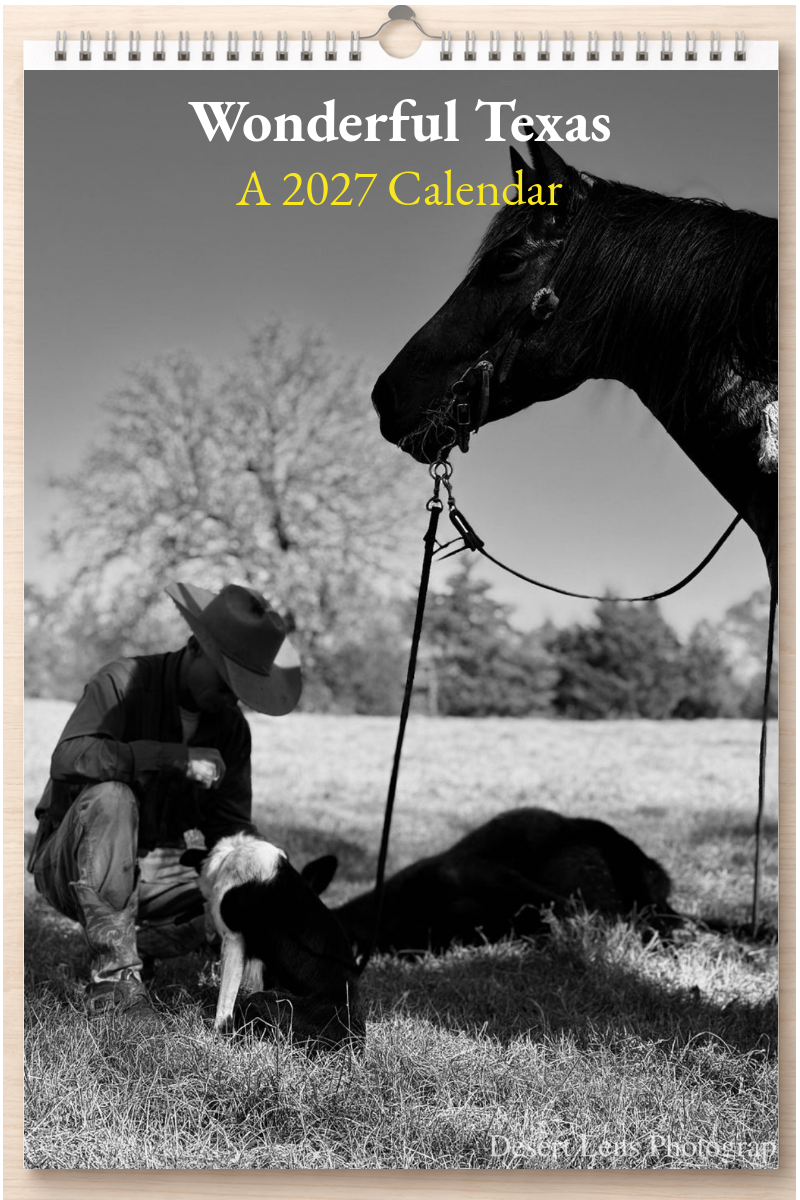 Wonderful Texas: A 2027 Calendar