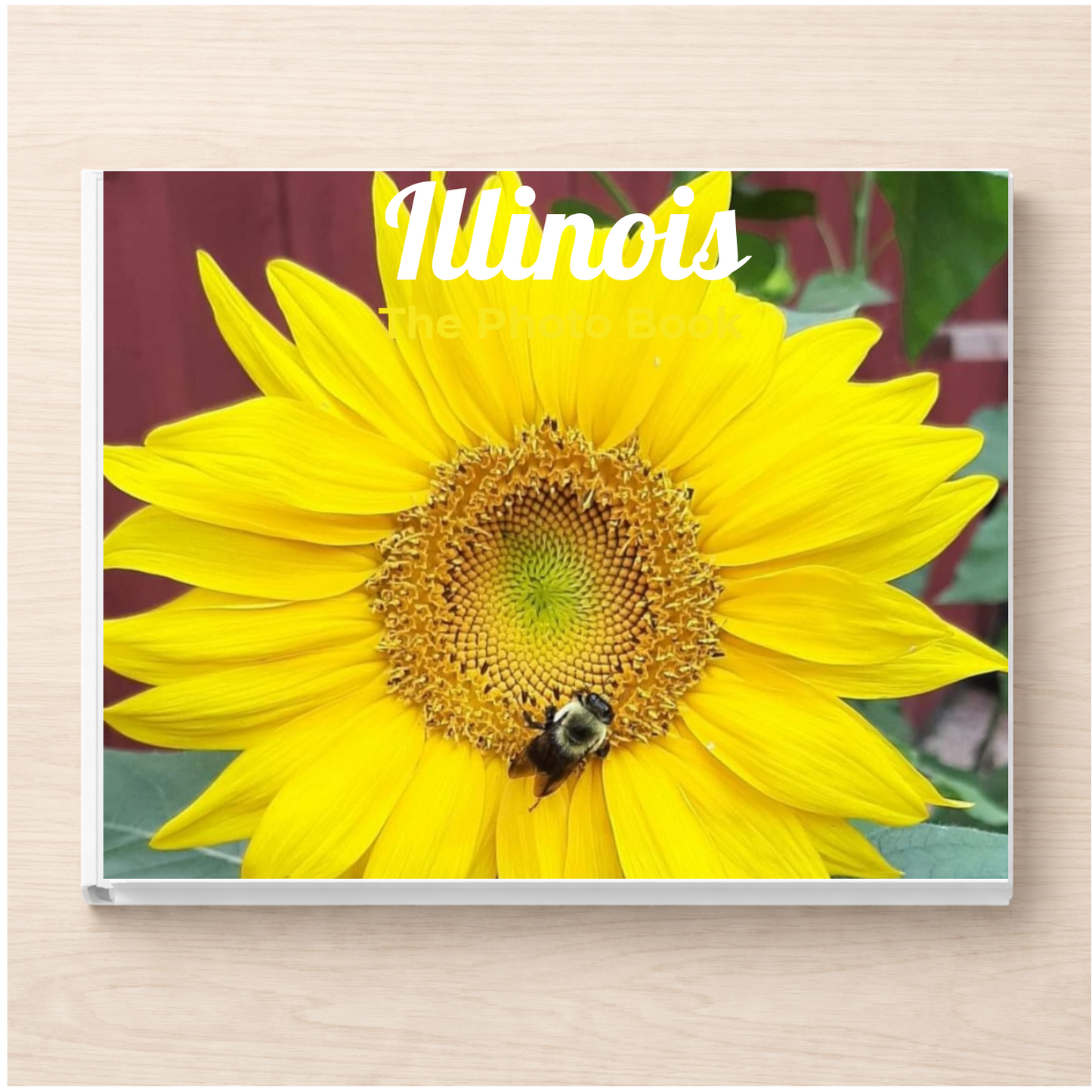 Illinois: The Photo Book