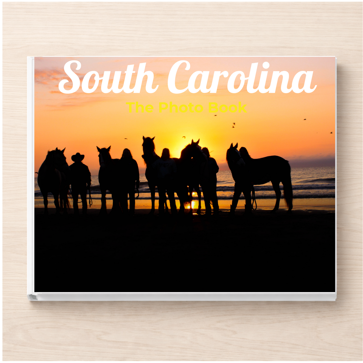 South Carolina: The Photo Book