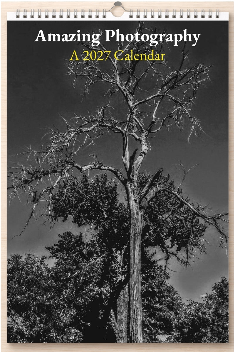 Amazing Photography: A 2027 Calendar