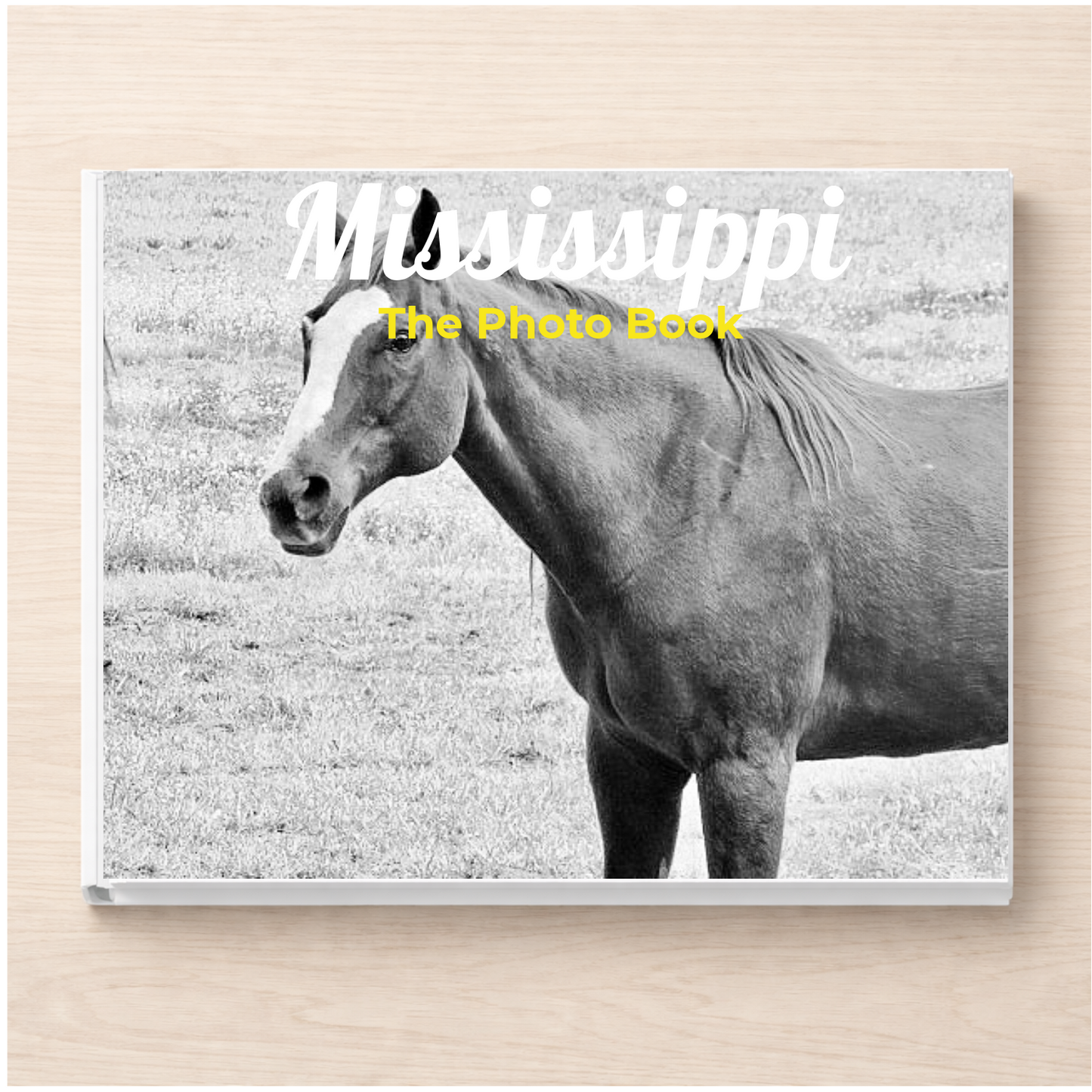 Mississippi: The Photo Book
