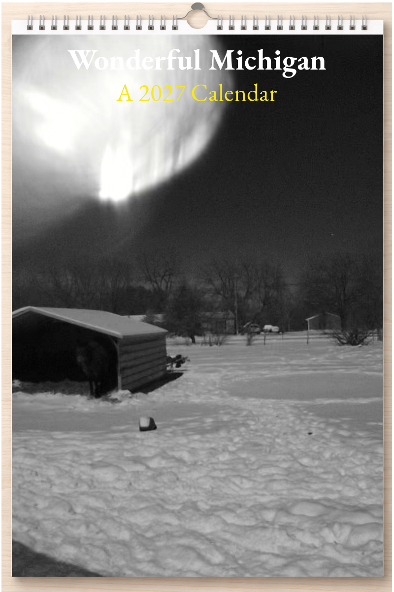 Wonderful Michigan: A 2027 Calendar