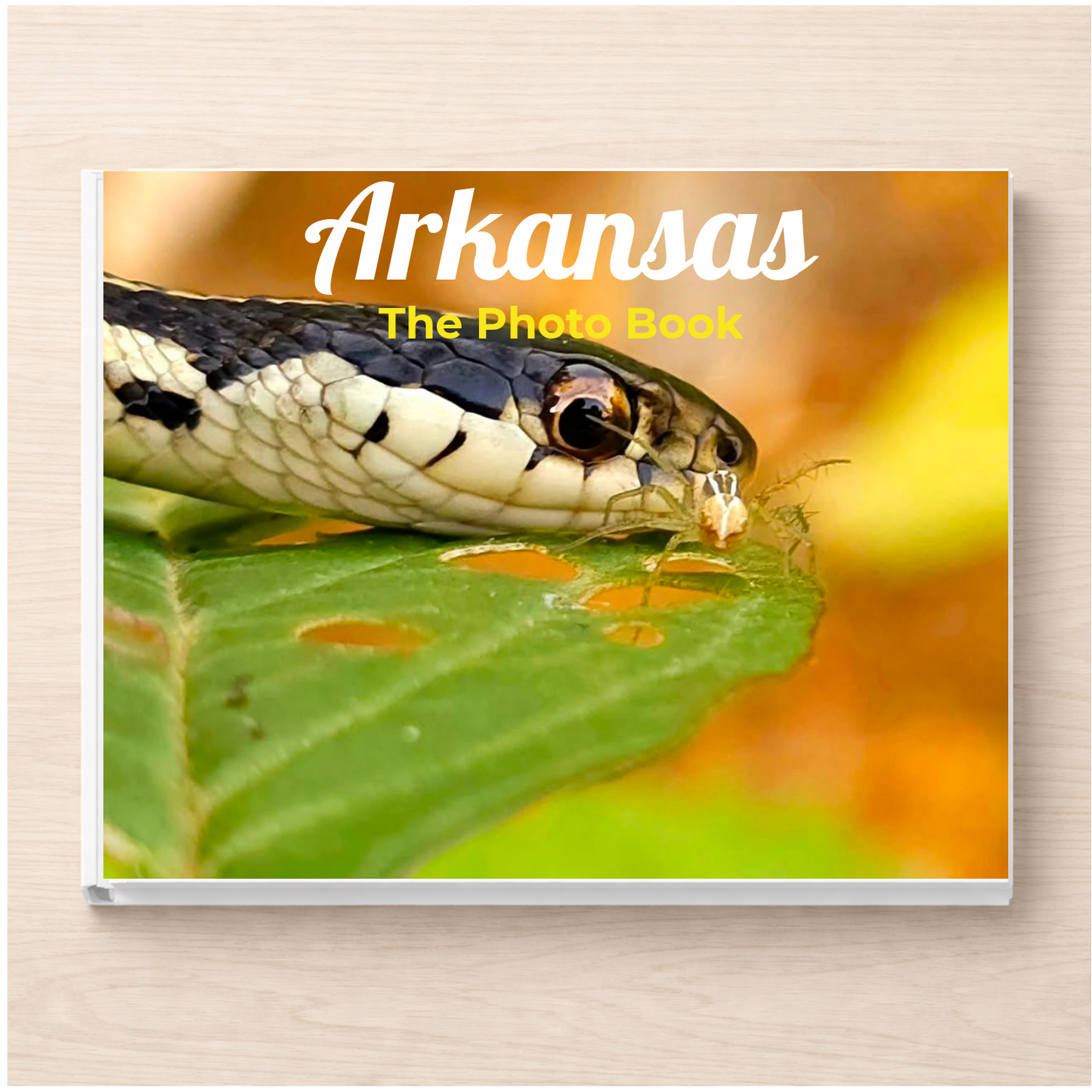 Arkansas: The Photo Book