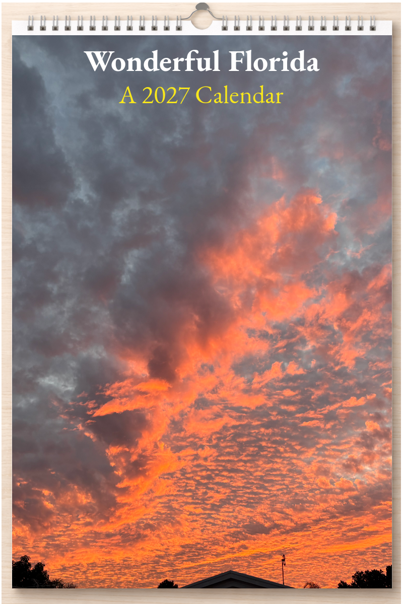 Wonderful Florida: A 2027 Calendar