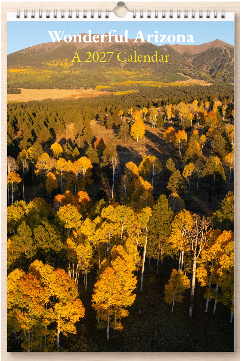 Wonderful Arizona: A 2027 Calendar
