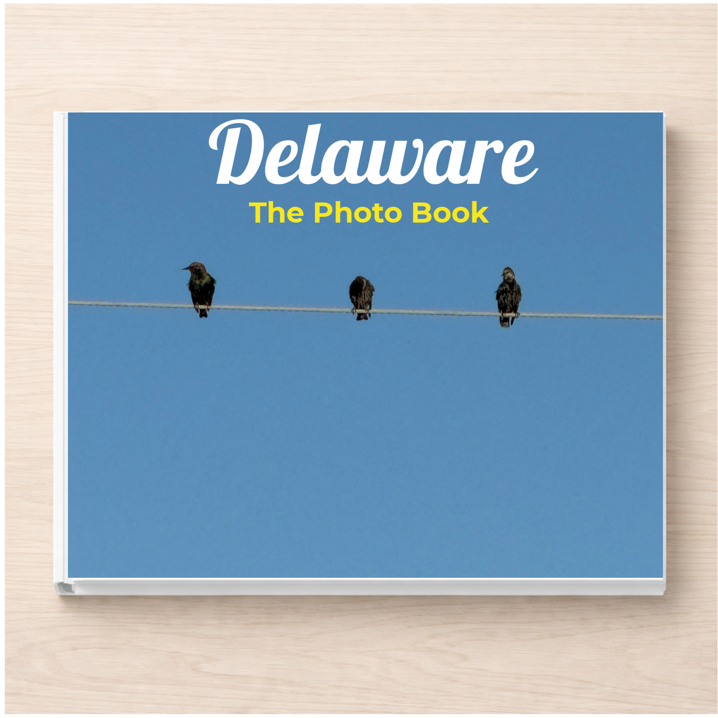 Delaware: The Photo Book