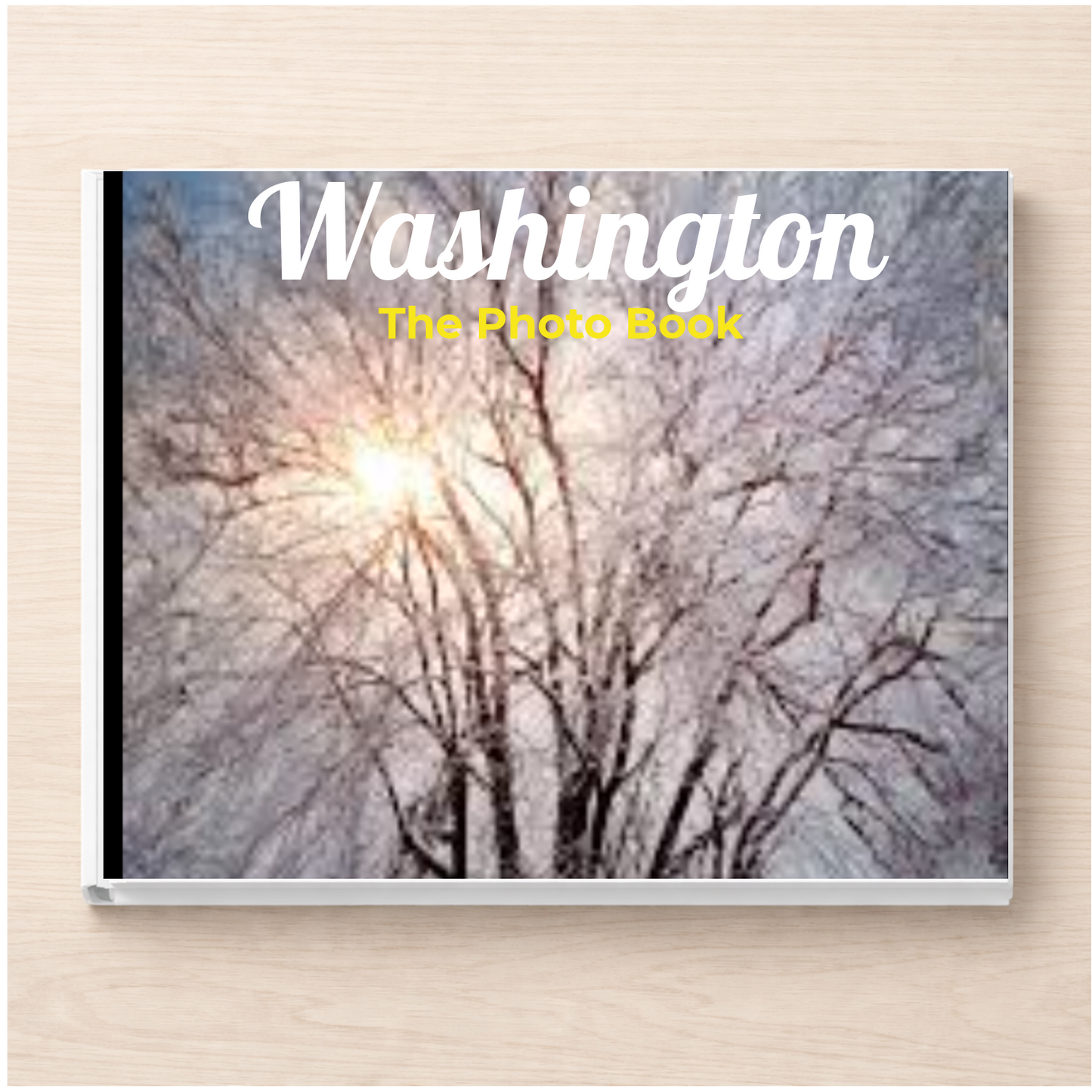 Washington: The Photo Book