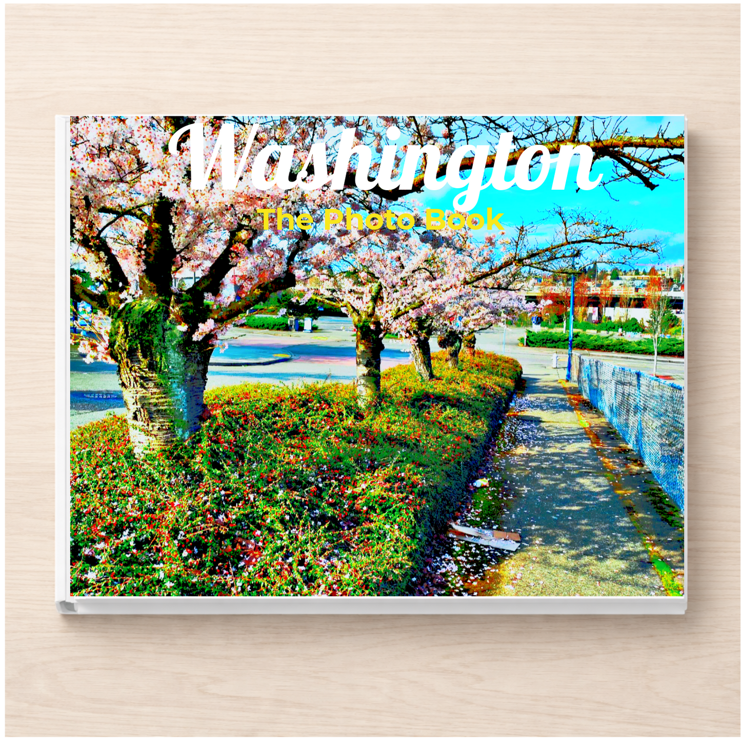 Washington: The Photo Book