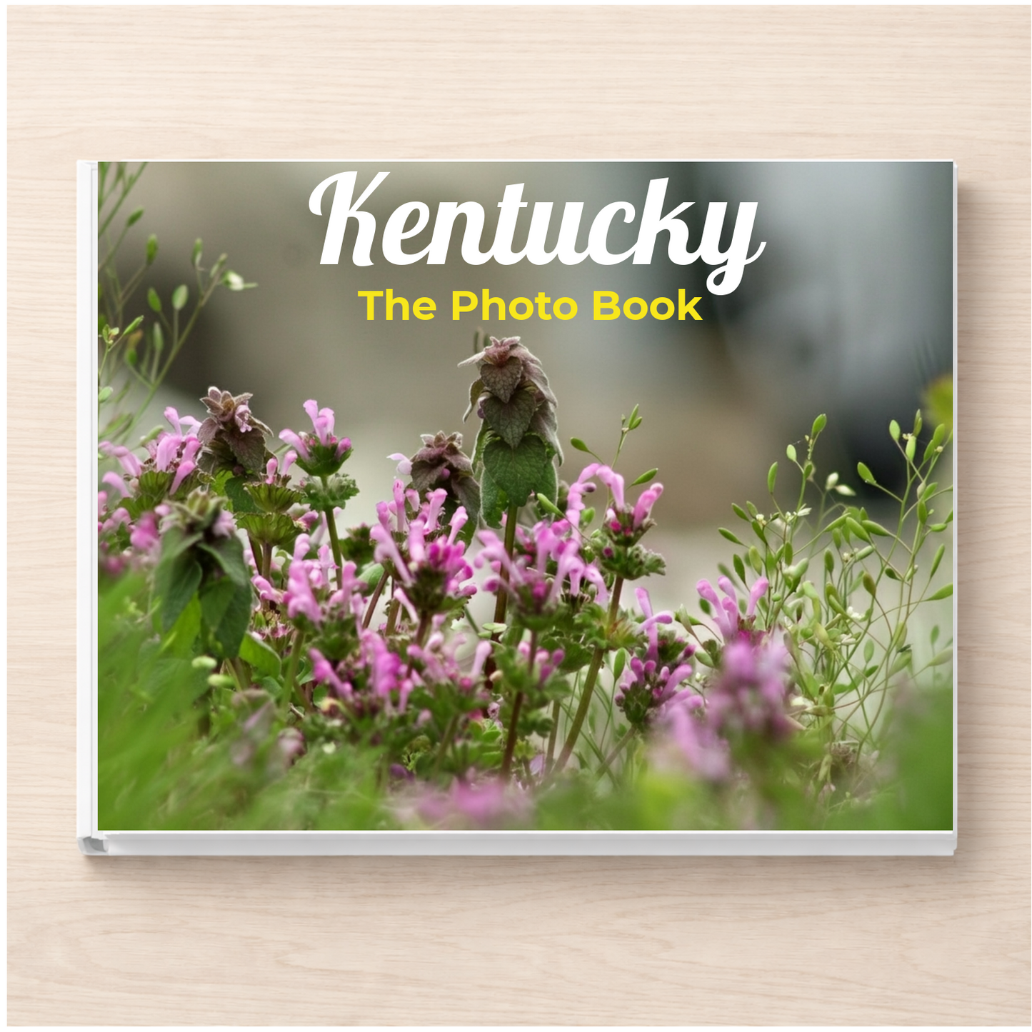 Kentucky: The Photo Book