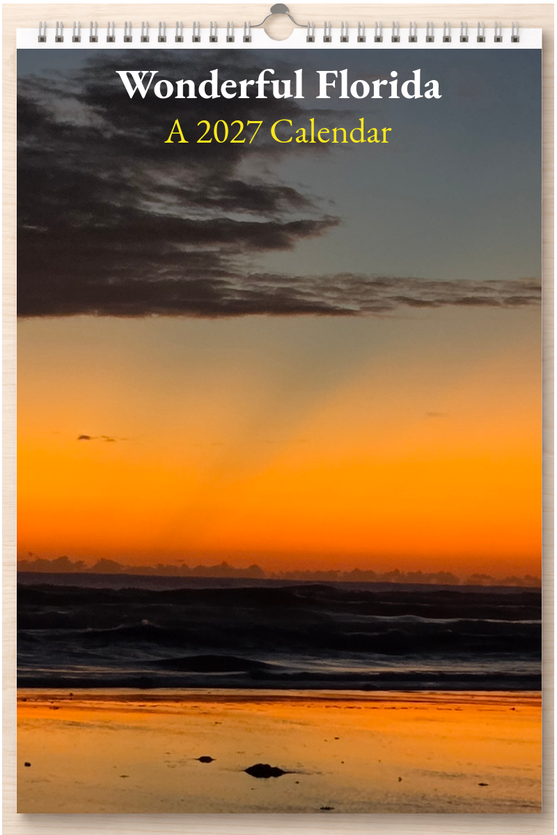 Wonderful Florida: A 2027 Calendar