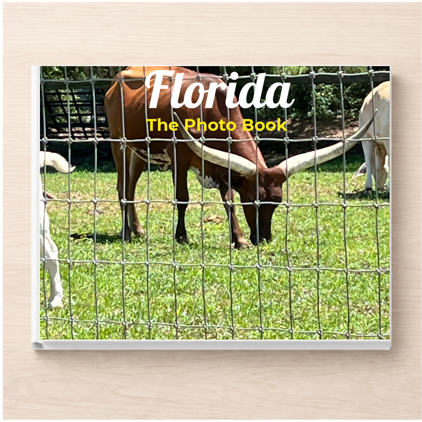 Florida: The Photo Book
