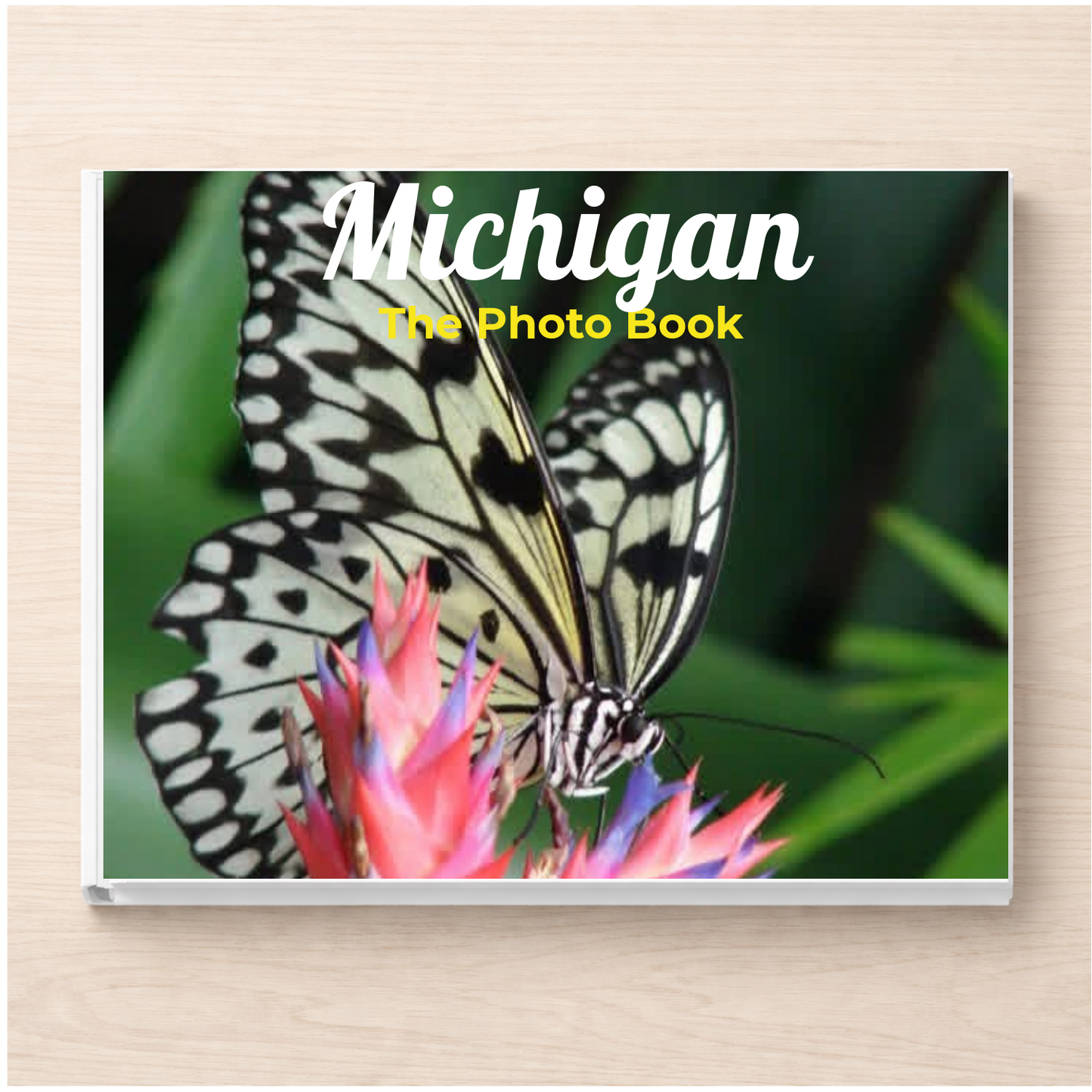 Michigan: The Photo Book
