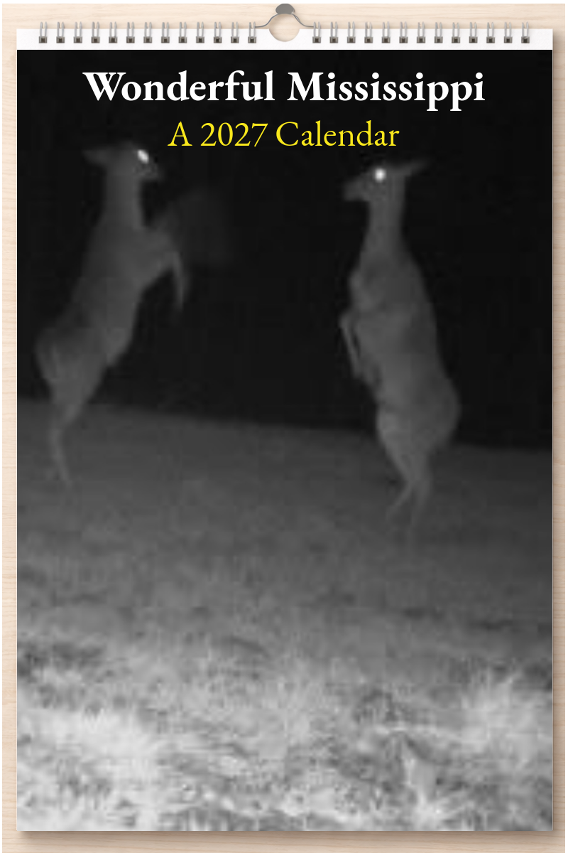 Wonderful Mississippi: A 2027 Calendar