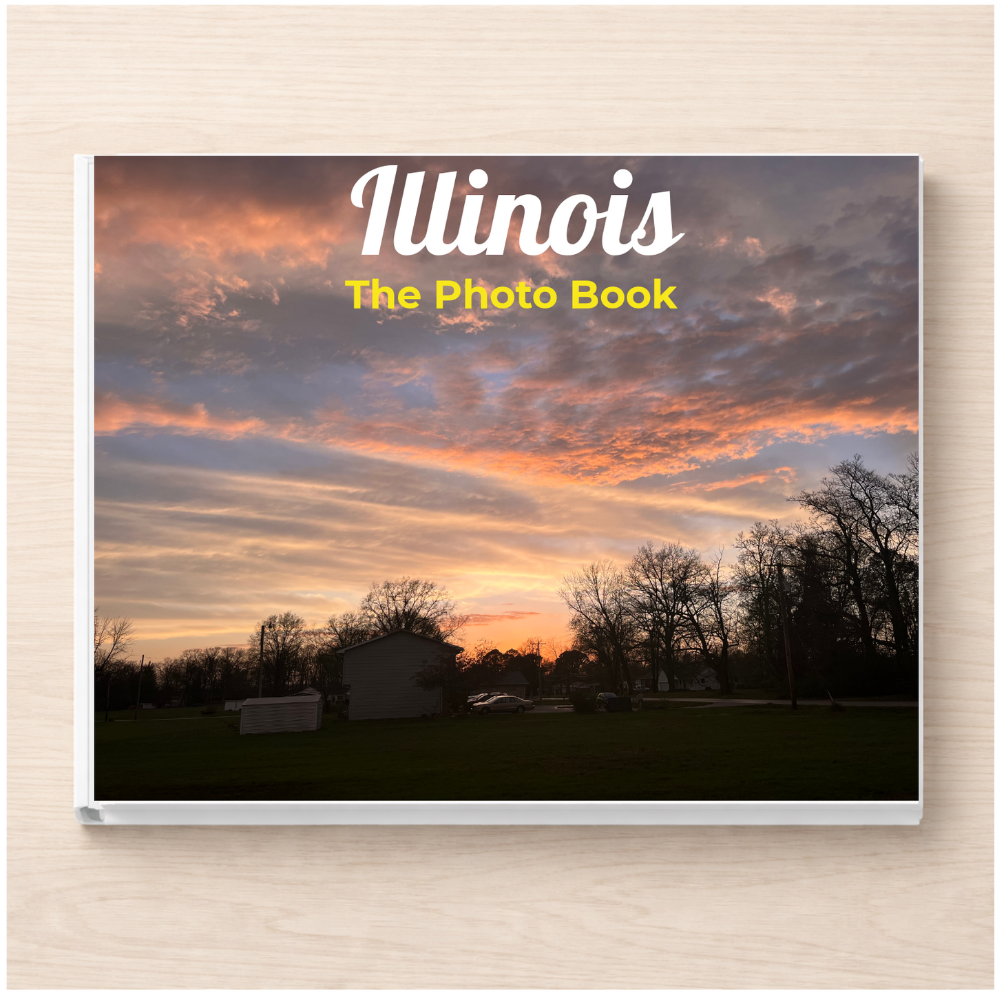 Illinois: The Photo Book
