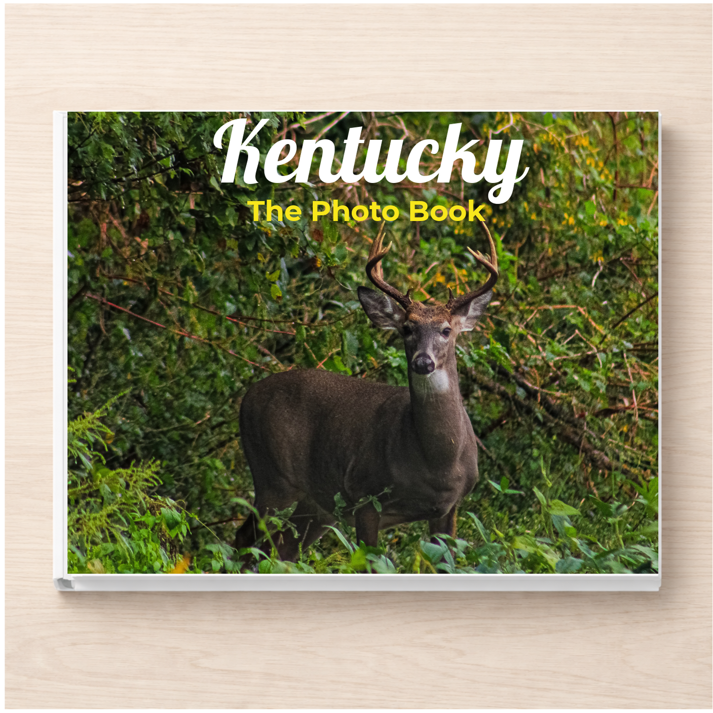 Kentucky: The Photo Book
