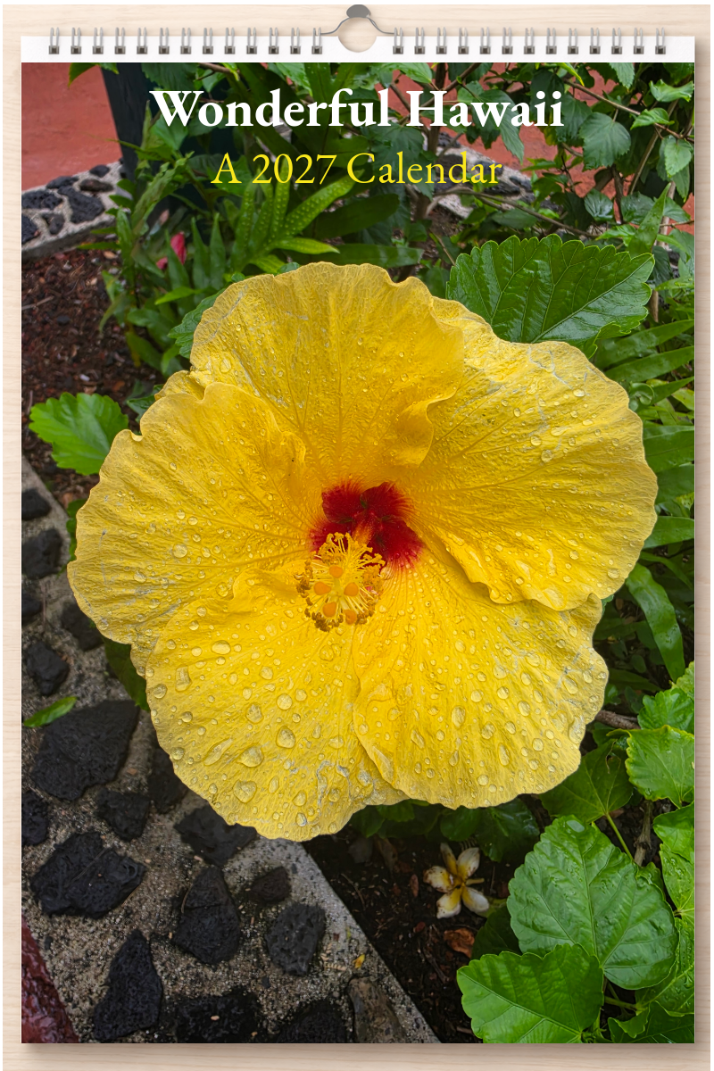 Wonderful Hawaii: A 2027 Calendar